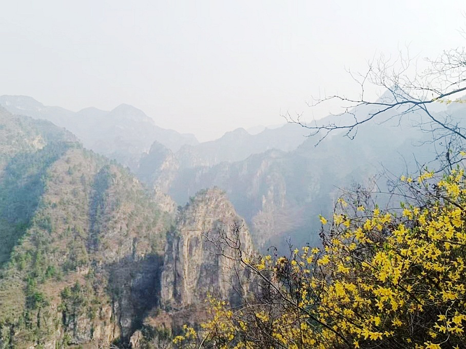 微信图片_20230418114542.jpg