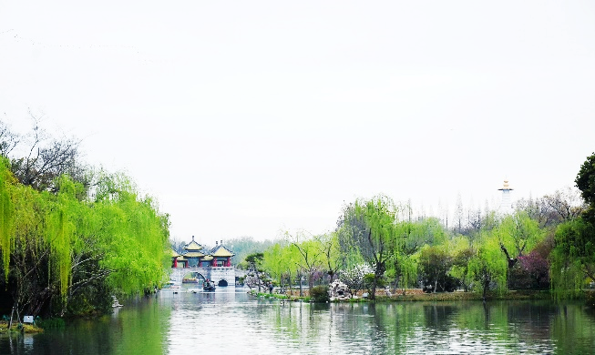 微信图片_20230419082856.png